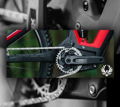 fully integrated experience 